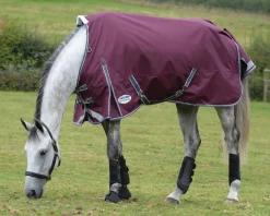 WeatherBeeta® ComFiTec™ Plus Dynamic II Standard Neck Medium-Weight Turnout Blanket