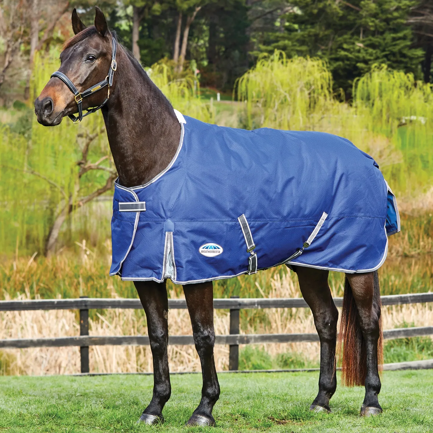 WeatherBeeta® Free Standard Neck Turnout Sheet
