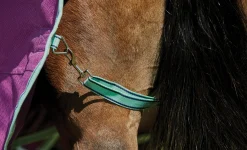 WeatherBeeta® Pony ComFiTec™ Premier Free II Detach-A-Neck Medium-Weight Turnout Blanket