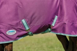 WeatherBeeta® Pony ComFiTec™ Premier Free II Detach-A-Neck Medium-Weight Turnout Blanket