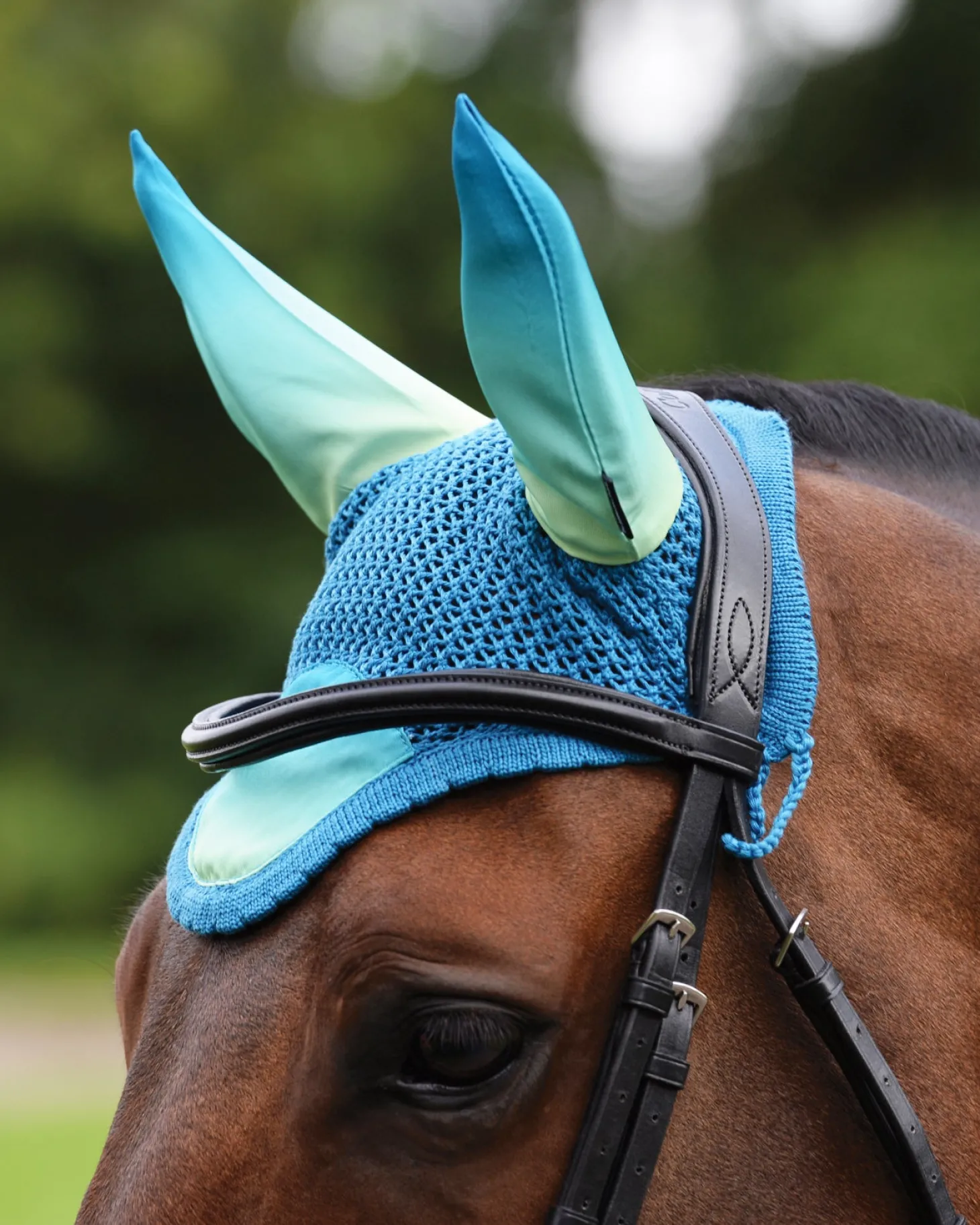 WeatherBeeta® Prime Ombré Ear Bonnet