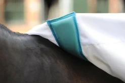 WeatherBeeta® Sweet Itch Shield with Combo Neck