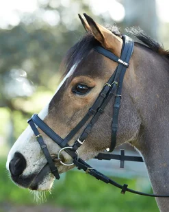 Wintec Bridle with Flash
